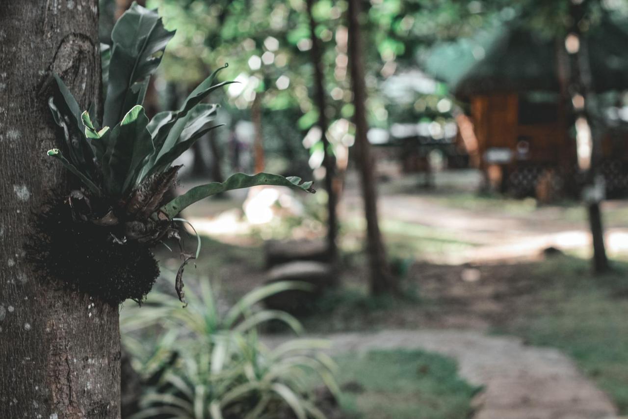 La Vie Adventure Trails Hotel Salabusob Luaran gambar